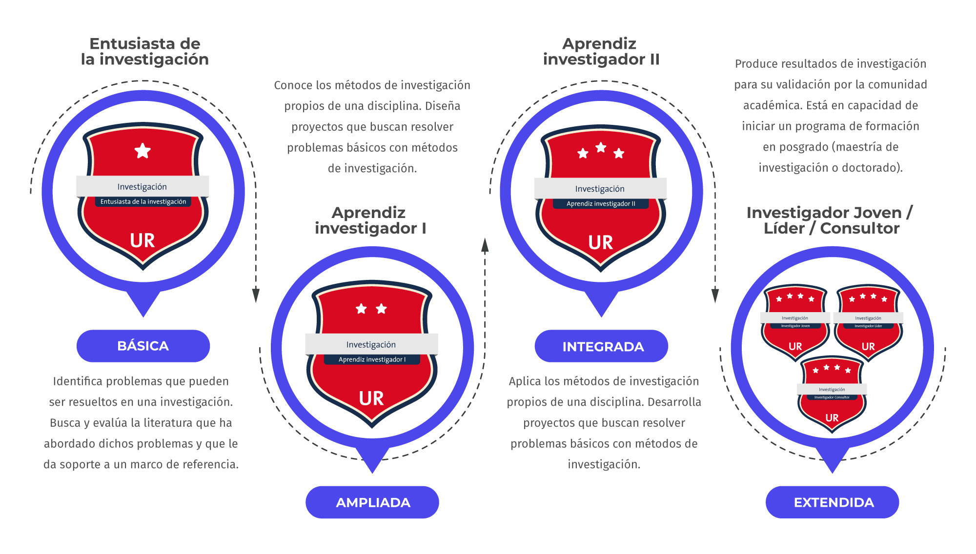 Entusiasta en investigación: Básica | Aprendiz investigador I: Ampliada | Aprendiz investigador II: Integrada | Investigador jóven - líder- consultor: Extendida