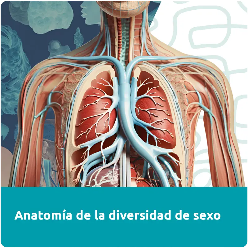 Anatomía de la diversidad del sexo